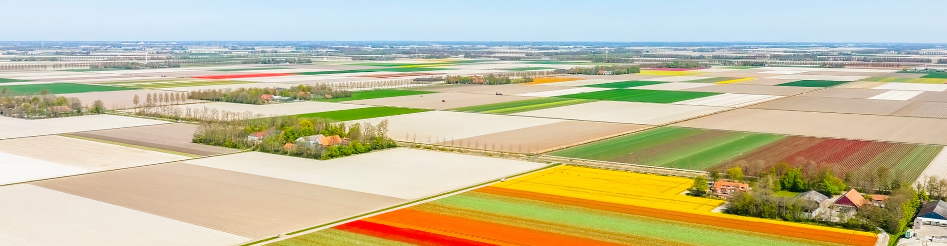 Colourful Fields